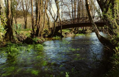 Paseo fluvial e literario – Río Madalena
