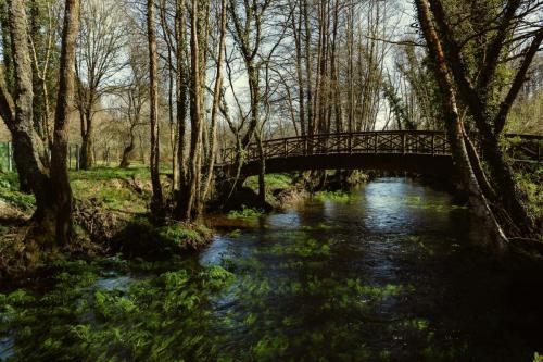 Paseo fluvial e literario – Río Madalena